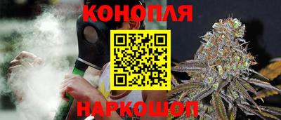 a pvp Кингисепп