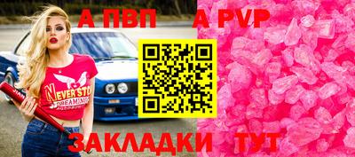 a pvp Кингисепп
