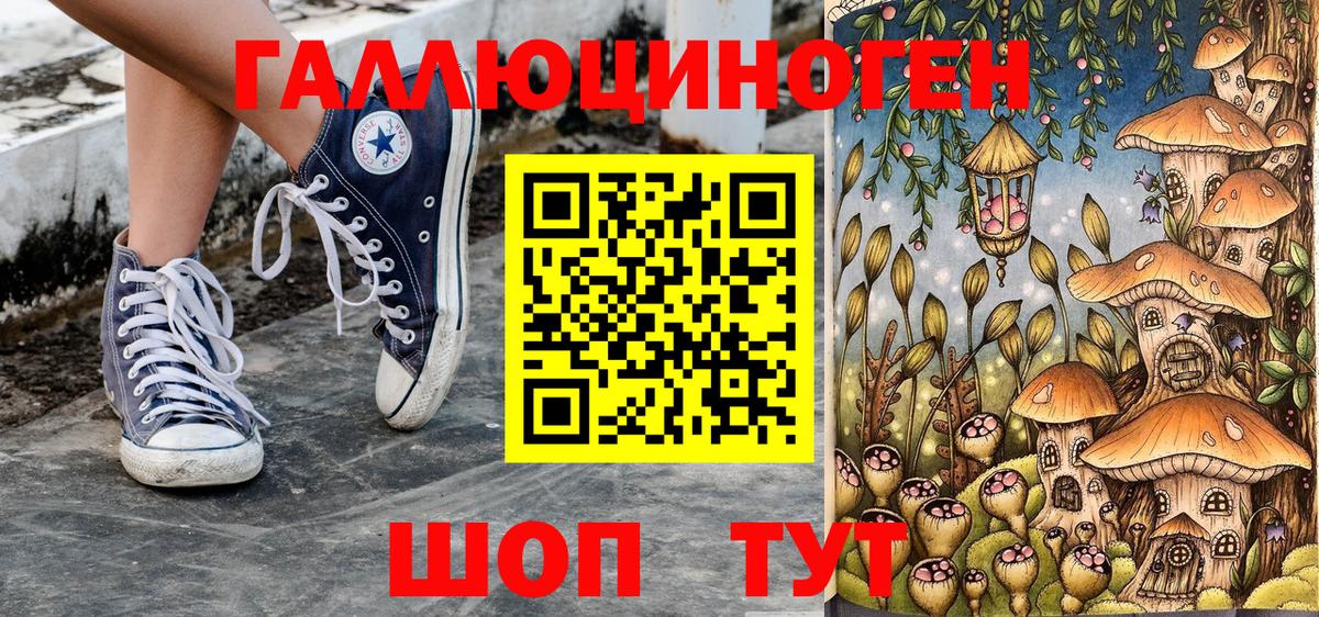 Псилоцибиновые грибы мицелий Ивантеевка
